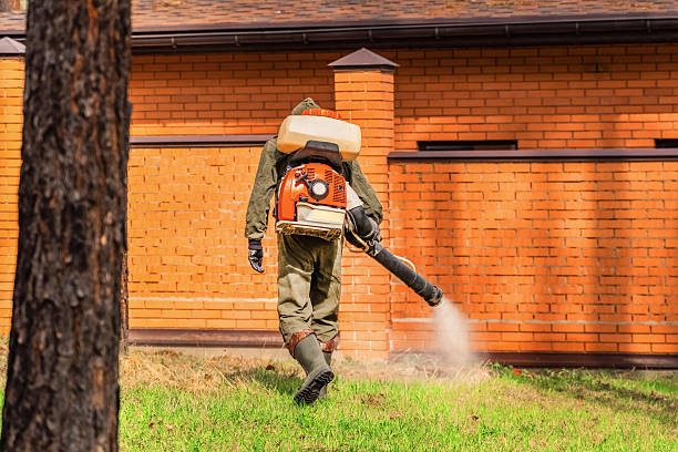 Bed Bug Clearance Verification and Documentation in Ardmore